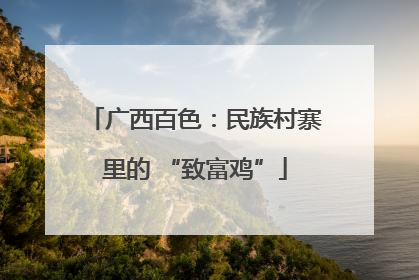 广西百色：民族村寨里的 “致富鸡”