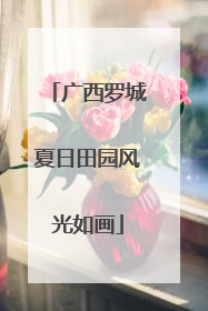 广西罗城夏日田园风光如画