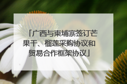 广西与柬埔寨签订芒果干、榴莲采购协议和贸易合作框架协议