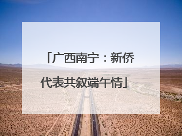 广西南宁：新侨代表共叙端午情