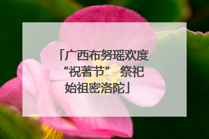 广西布努瑶欢度“祝著节” 祭祀始祖密洛陀