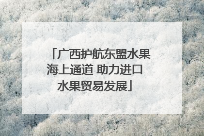 广西护航东盟水果海上通道 助力进口水果贸易发展