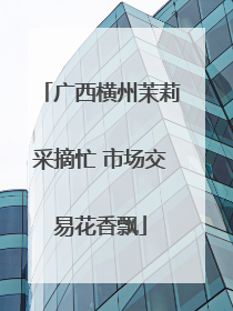 广西横州茉莉采摘忙 市场交易花香飘
