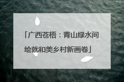 广西苍梧：青山绿水间绘就和美乡村新画卷