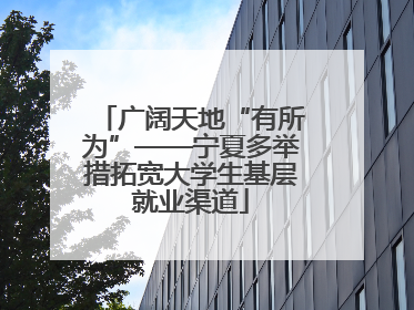 广阔天地“有所为”——宁夏多举措拓宽大学生基层就业渠道