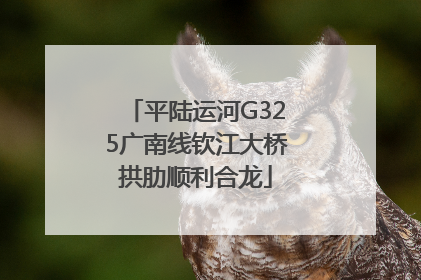 平陆运河G325广南线钦江大桥拱肋顺利合龙