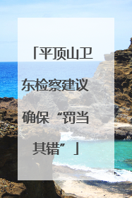 平顶山卫东检察建议确保“罚当其错”