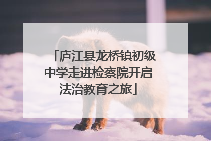 庐江县龙桥镇初级中学走进检察院开启法治教育之旅