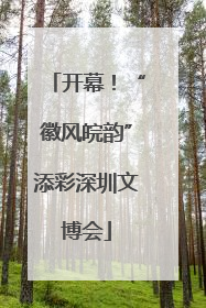 开幕！“徽风皖韵”添彩深圳文博会