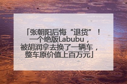 张朝阳后悔“退货”！一个绝版Labubu，被胡润拿去换了一辆车，整车原价值上百万元