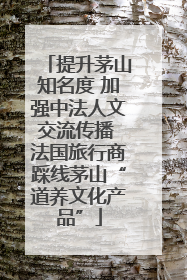 提升茅山知名度 加强中法人文交流传播 法国旅行商踩线茅山“道养文化产品”