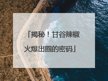 揭秘！甘谷辣椒火爆出圈的密码