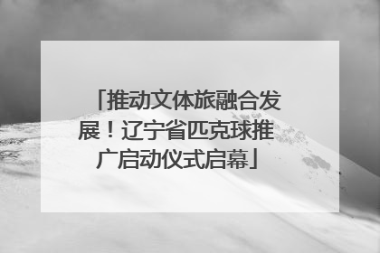 推动文体旅融合发展！辽宁省匹克球推广启动仪式启幕