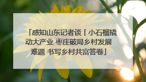 感知山东记者谈丨小石榴撬动大产业 枣庄破局乡村发展难题 书写乡村共富答卷