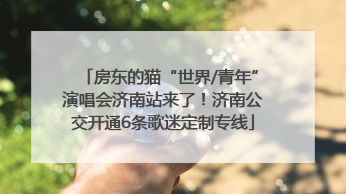 房东的猫“世界/青年”演唱会济南站来了！济南公交开通6条歌迷定制专线