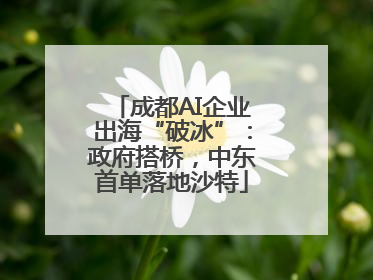 成都AI企业出海“破冰”：政府搭桥，中东首单落地沙特