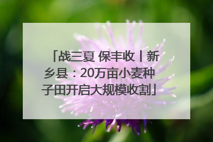 战三夏 保丰收丨新乡县：20万亩小麦种子田开启大规模收割