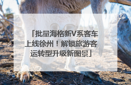批量海格新V系客车上线徐州！解锁旅游客运转型升级新图景