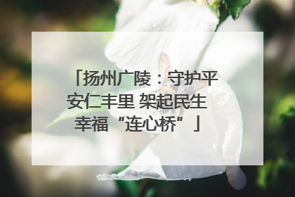 扬州广陵：守护平安仁丰里 架起民生幸福“连心桥”