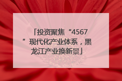 投资聚焦“4567”现代化产业体系，黑龙江产业换新景