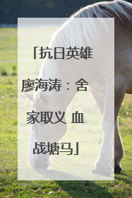 抗日英雄廖海涛：舍家取义 血战塘马