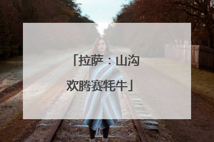 拉萨：山沟欢腾赛牦牛