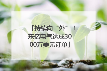 持续向“外”！东亿电气达成3000万美元订单