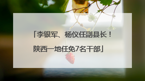 李银军、杨仪任副县长！陕西一地任免7名干部
