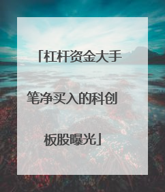 杠杆资金大手笔净买入的科创板股曝光