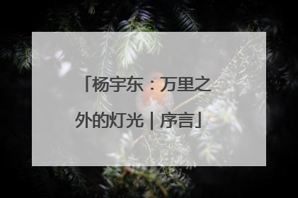杨宇东：万里之外的灯光｜序言