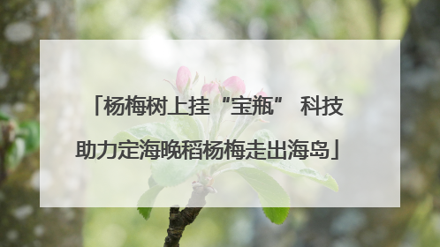 杨梅树上挂“宝瓶” 科技助力定海晚稻杨梅走出海岛