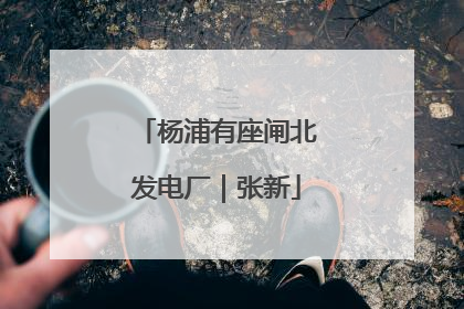 杨浦有座闸北发电厂｜张新