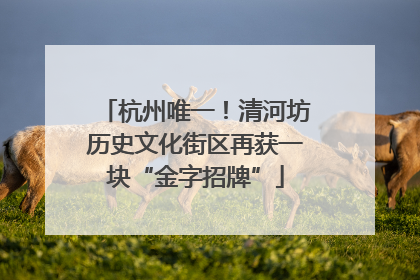 杭州唯一！清河坊历史文化街区再获一块“金字招牌”