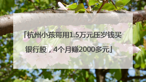 杭州小孩哥用1.5万元压岁钱买银行股，4个月赚2000多元