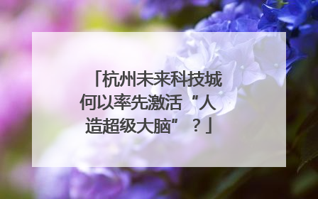 杭州未来科技城何以率先激活“人造超级大脑”？
