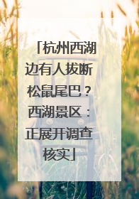 杭州西湖边有人拔断松鼠尾巴？西湖景区：正展开调查核实