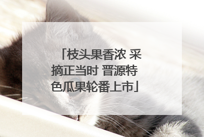 枝头果香浓 采摘正当时 晋源特色瓜果轮番上市