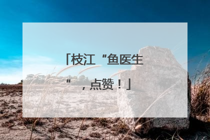 枝江“鱼医生”，点赞！