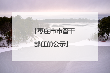 枣庄市市管干部任前公示