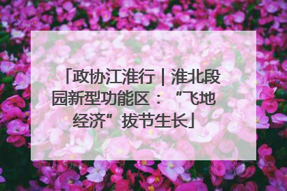 政协江淮行｜淮北段园新型功能区：“飞地经济”拔节生长