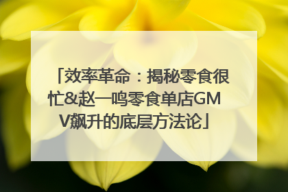 效率革命：揭秘零食很忙&赵一鸣零食单店GMV飙升的底层方法论