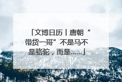 文博日历丨唐朝“带货一哥”不是马不是骆驼，而是……