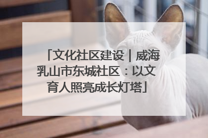 文化社区建设｜威海乳山市东城社区：以文育人照亮成长灯塔