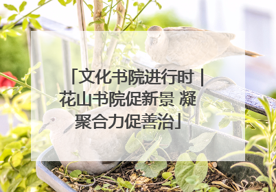 文化书院进行时｜花山书院促新景 凝聚合力促善治