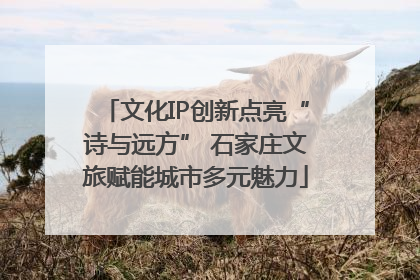 文化IP创新点亮“诗与远方” 石家庄文旅赋能城市多元魅力
