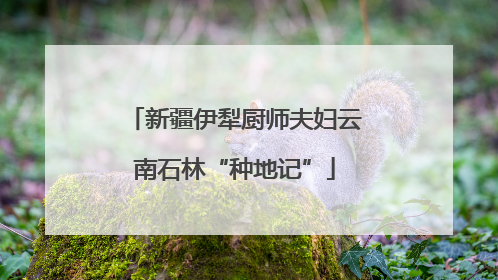 新疆伊犁厨师夫妇云南石林“种地记”