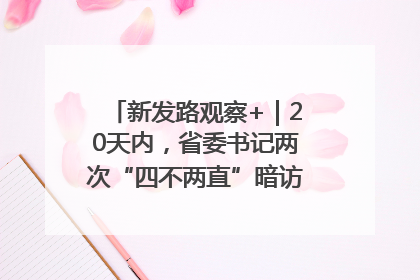 新发路观察+｜20天内，省委书记两次“四不两直”暗访，有何深意？