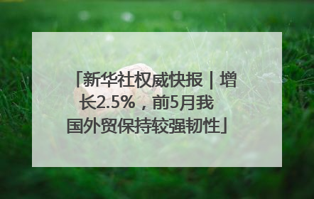 新华社权威快报｜增长2.5%，前5月我国外贸保持较强韧性