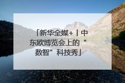 新华全媒+丨中东欧博览会上的“数智”科技秀
