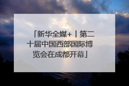 新华全媒+丨第二十届中国西部国际博览会在成都开幕